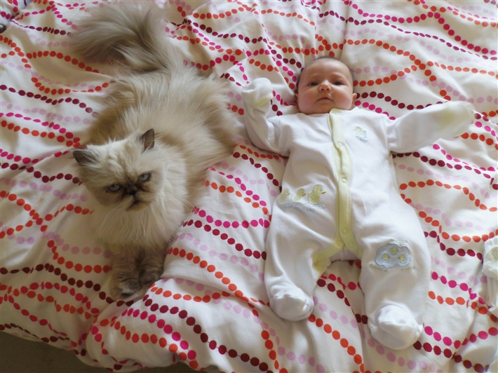 Introducing And Children