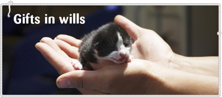 Gifts in wills banner