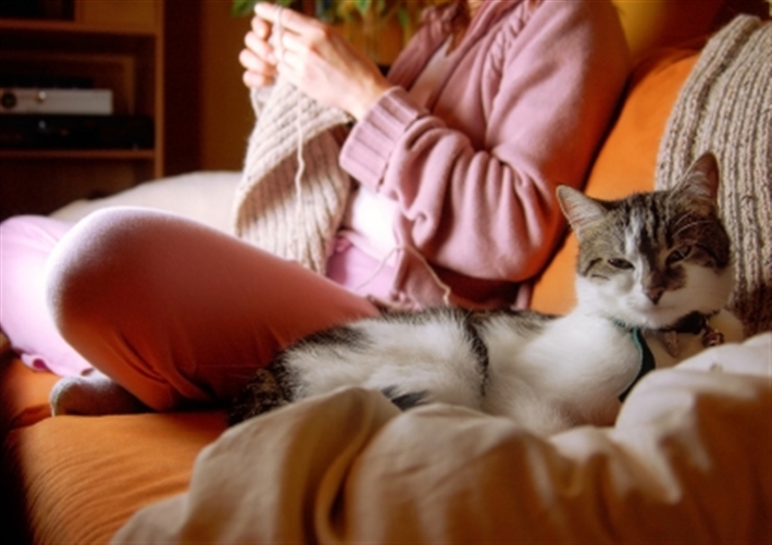 cat sitting beside owner on couch