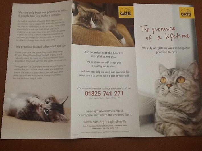 The Promise of a Lifetime brochure