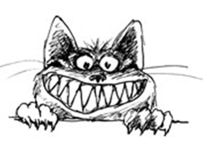 Furballs Cattery%44 Southwick Fareham