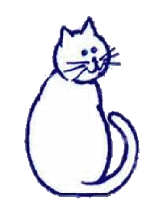 sitting cat