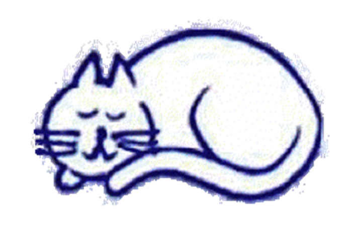 cat lying down