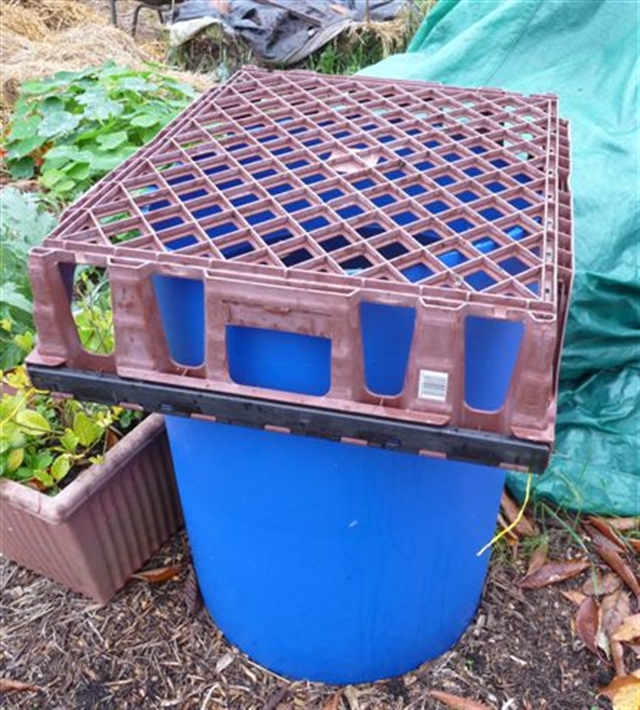 An improvised water butt cover could save a cat's life