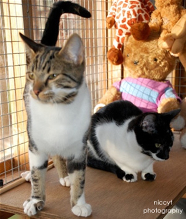Tasha and Billy