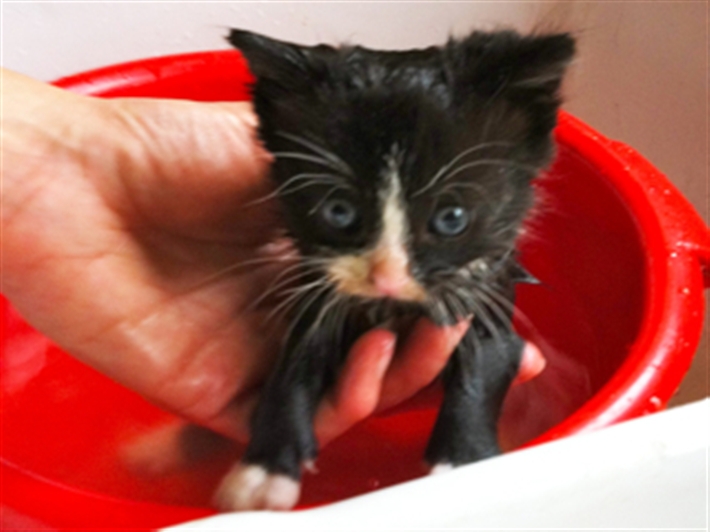 Little Ollie has a bath