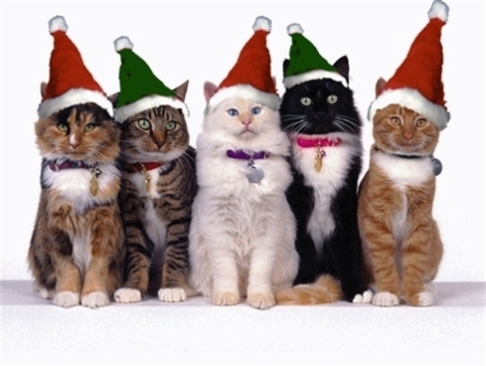 Annual Christmas Sale 2013